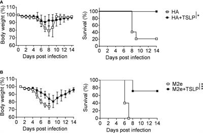 Interferon-λ Improves the Efficacy of Intranasally or Rectally Administered Influenza Subunit Vaccines by a Thymic Stromal Lymphopoietin-Dependent Mechanism